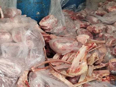 کشف و معدوم سازی گوشت شتر تاریخ مصرف گذشته در شهرستان خمینی شهر