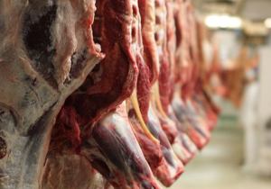 کشف بیش از ۶ تن گوشت گوساله فاسد در شهرستان برخوار