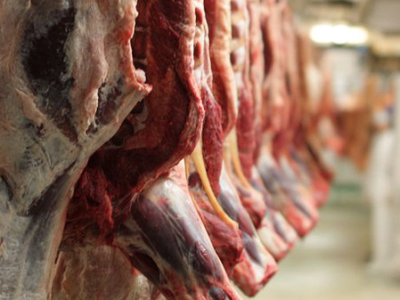 کشف بیش از ۶ تن گوشت گوساله فاسد در شهرستان برخوار