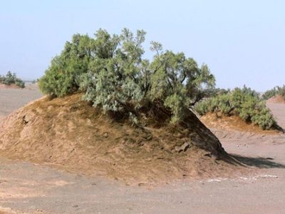 نبکاهای آب شیرین کاشان به ثبت ملی رسید